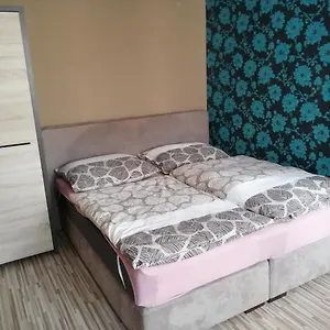 1+1 V Karlovych Varech Apartment Karlsbad