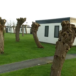 http://